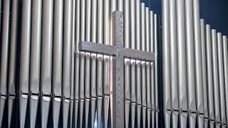 In Memory of Claudia E. Markham-Ahl 6/11/2022