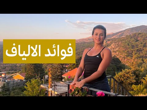 علا اسعد فوائد الالياف