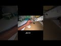 ✨cardboard spaghetti✨ tutorial 🍝 #repost #spaghetti #minicraft #crafts #lesserafim