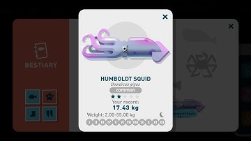 Creatures of the Deep - Humboldt Squid