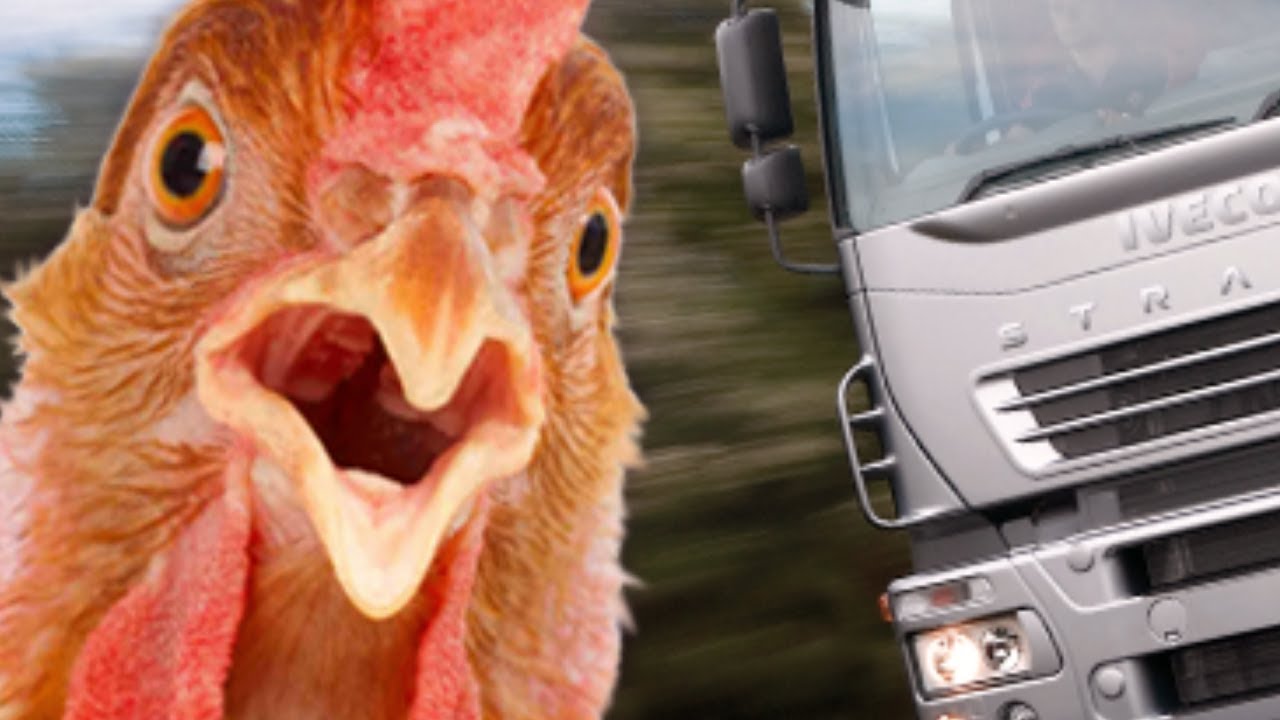 Chicken cross the road game   - The Independent Video