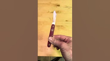 The cheapest Swiss Army knife you can get #swissarmyknife #victorinox