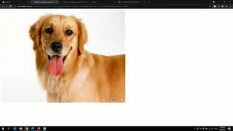 WorkPro's Bullhorn Integration