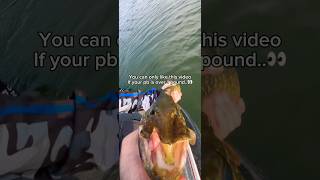 Download Lagu If Your PB is Over 1LB…. #fishing #shorts MP3