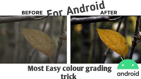 Beginner Easy Color grading on kinemaster