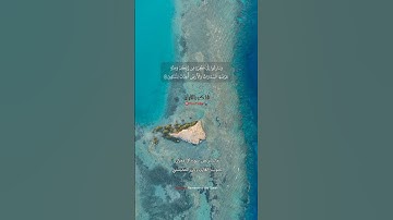 تلاوة جميلة بصوت القارئ ريان المحيسني