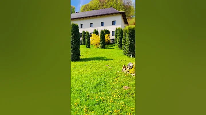 Mănăstirea Sfinții Apostoli Petru și Pavel - Parva, Rebra