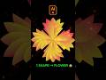 Create Beautiful Flower in Illustrator 🌸 Rotate + Shape Builder Tutorial