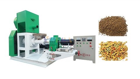 200kg/h floating fish feed extruder fish feed making machine working video