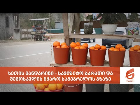 ხეთის მანდარინი - სავიზიტო ბარათი და შემოსავლის წყარო სამეგრელოს გზაზე