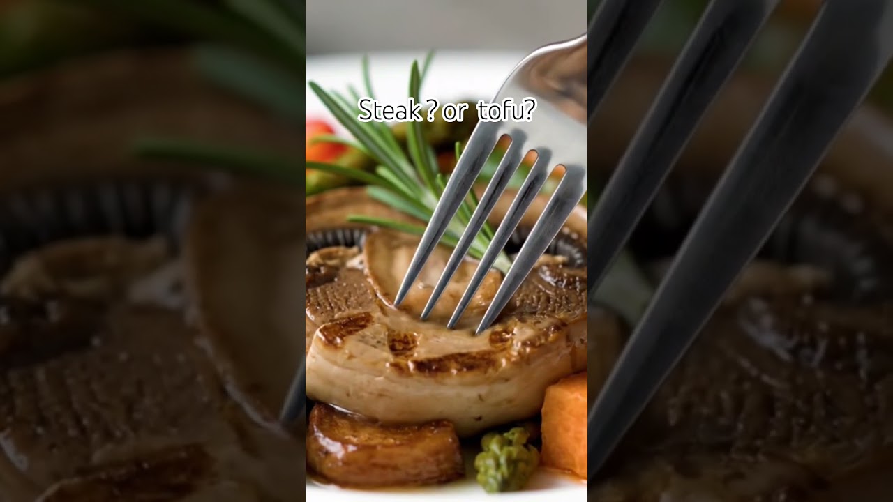 tofu steak?