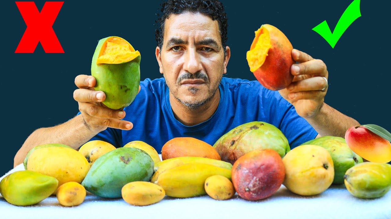 لا تأكل هذة المانجو ولو ببلاش تسبب امراض👈اعرف افضل الاصناف الصالحة للاكل والعصير والتخزين