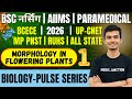 🔥Morphology in Flowering Plants | BS.c Nursing 2026 | Biology 100 MCQ | AIIMS, BCECE, UP CNET,  RUHS