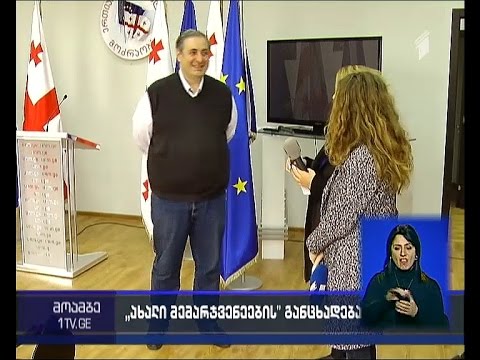 ვიზალიბერალიზაცია - ქართული პოლიტიკური პარტიების მიმართვა ევროპულ სტრუქტურებში გადაიგზავნება