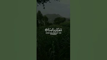 كلا بل تحبون العاجلة /سورة القيامة |الشيخ ياسر الدوسري