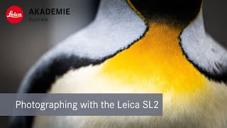 Photographing with the Leica SL2