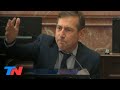 ABORTO LEGAL: DEBATE EN EL SENADO | Luis Naidenoff: "Que sea ley"