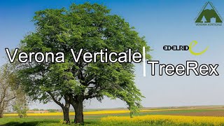 Verona Verticale - Edelrid Tree Rex 1.1