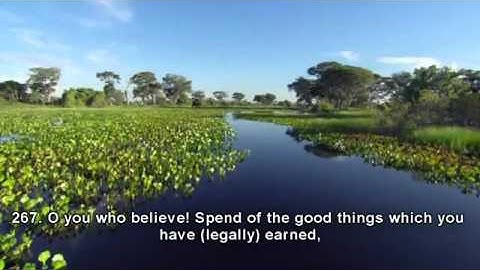 القارئ محمد بن إبراهيم اللحيدان.