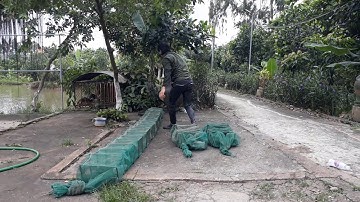 Hướng dẫn thả lưới bát quái hiệu quả_ Instructions for dropping fishing nets