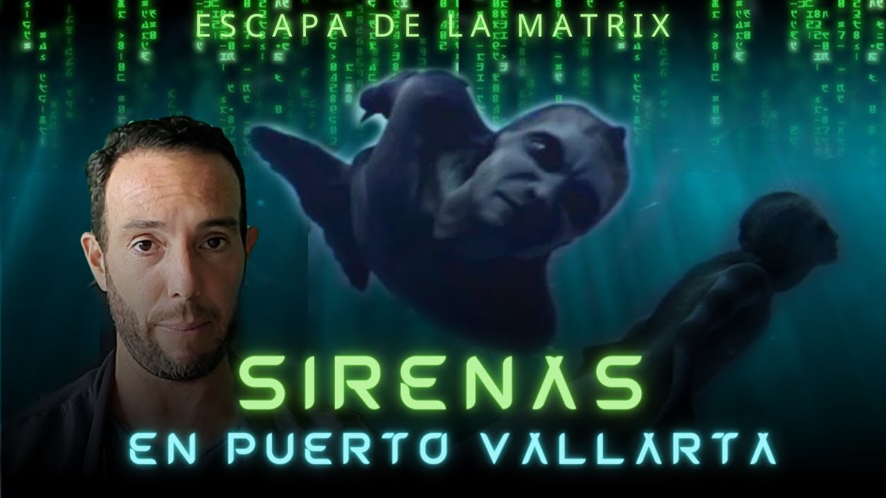 Sirenas en Puerto Vallarta