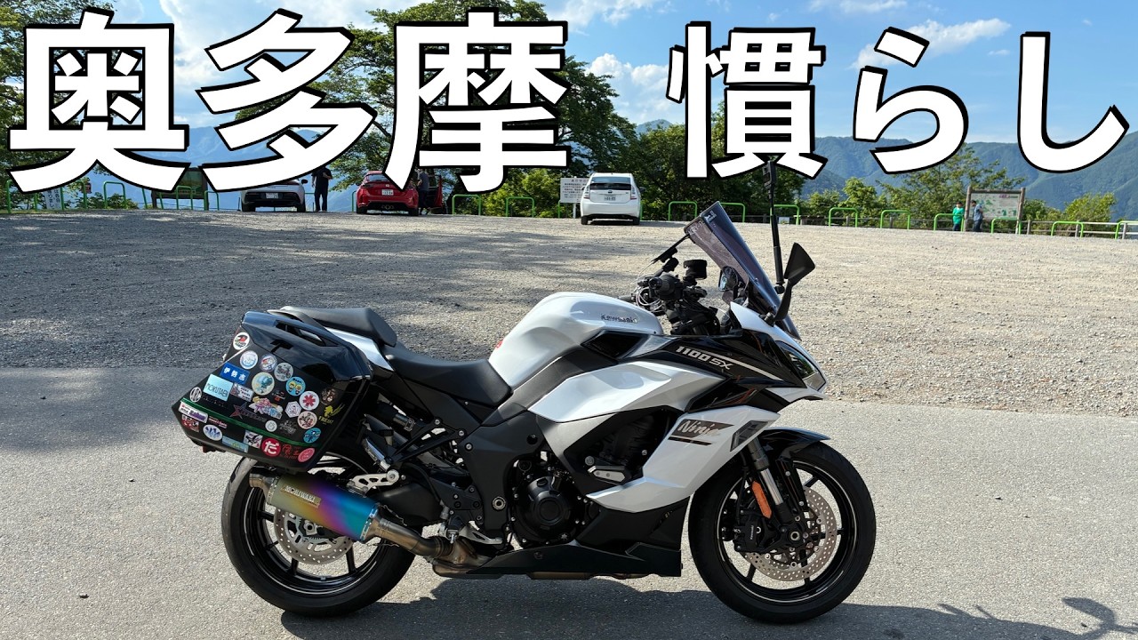 ☘️4年間管理☘️6号☘️原生地採取⭐️torquatus/multifidus⭐️超小輪 No.1080】Kawasaki Ninja1100SX 奥多摩周遊道路で慣らし運転【また事故