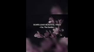 [1 hour] SCARS LEAVE BEAUTIFUL TRACE - CAR, THE GARDEN | ALCHEMY OF SOULS OST
