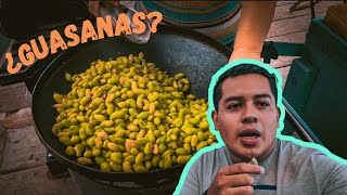 Guasanas ?en la Barca Jalisco ¿Las has probado? |SABOR-EANDO La Barca Parte #1