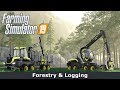 FS19 - Forestry & Logging | Cutting & Loading Demonstration ᴴᴰ ⁶⁰ᶠᵖˢ