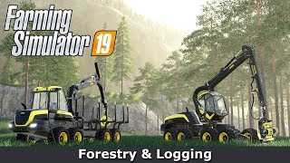 FS19 - Forestry & Logging | Cutting & Loading Demonstration ᴴᴰ ⁶⁰ᶠᵖˢ