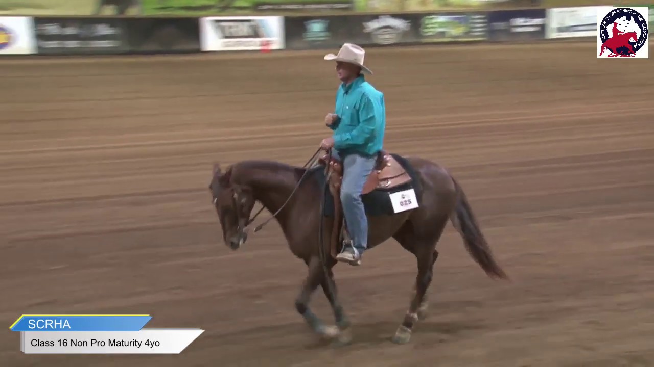 Southern Cross Reining Horse Live Stream - Non Pro Maturity 4yo