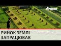 В Україні відкрився ринок землі