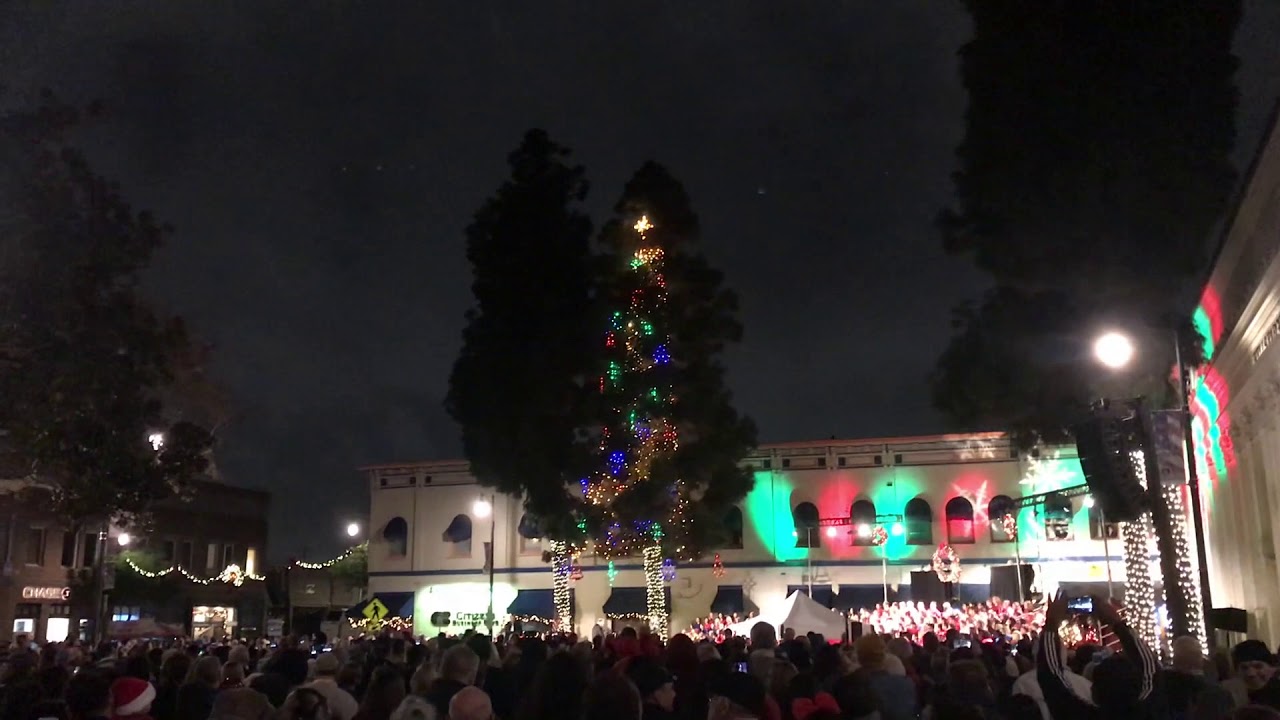 Orange Tree Lighting YouTube