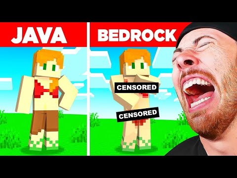 The ULTIMATE Minecraft Java vs Bedrock Memes Your MOM Doesn't Know About! (LOL)