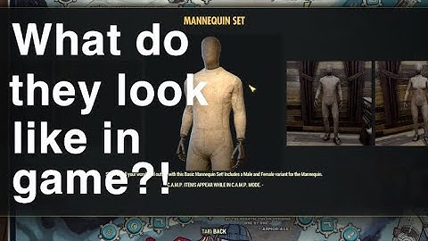 Our First Look At Mannequins and Power Armor Displays In Game on Fallout 76
