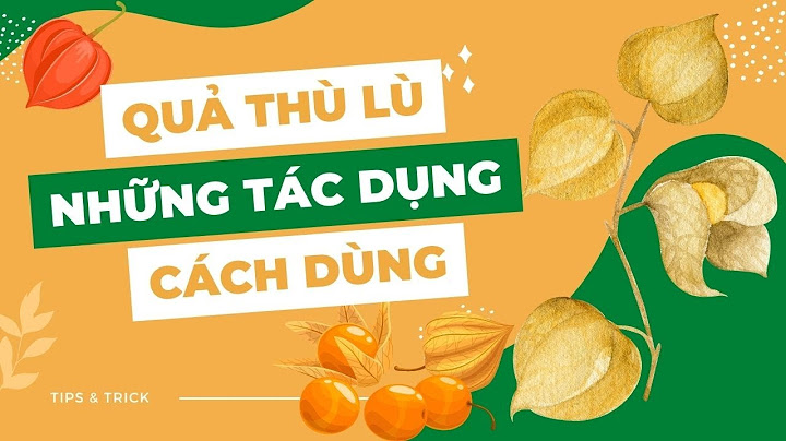 Quả thù lù có tác dụng gì