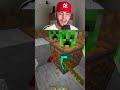 QUANDO LO SCHERZO SFUGGE DI MANO IN MINECRAFT...