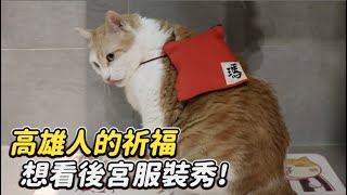 【高雄人的祈福想看後宮服裝秀】志銘與狸貓