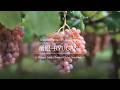 【Japanese Wine】Commemorating OIV Registration 竜眼－RYUGANー【Kanto-Shinetsu Regional Taxation Bureau】