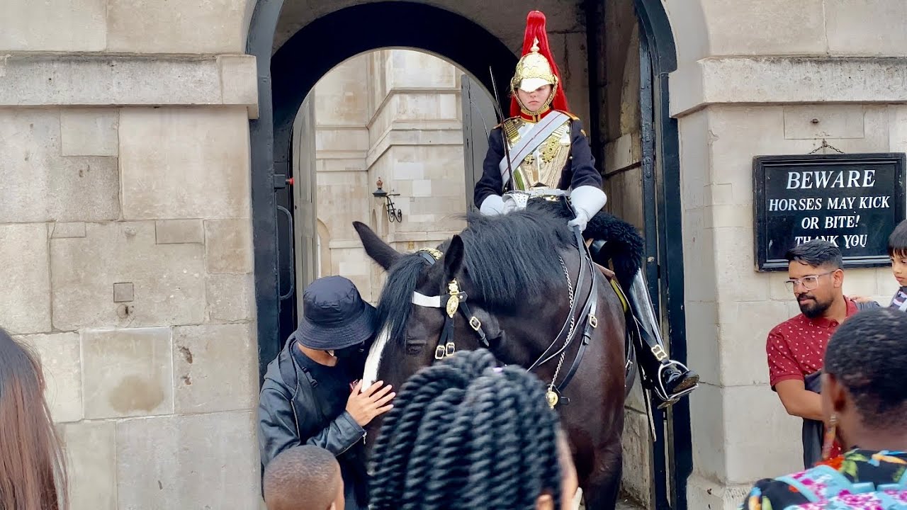 Boy Kisses The Guard's Horse