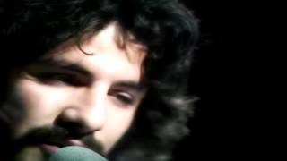 Moonshadow Cat Stevens Cover