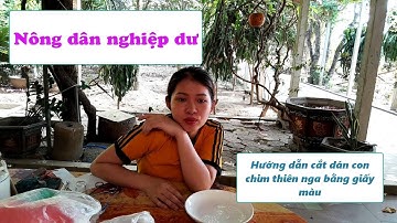 Nông dân nghiệp dư  | Hướng dẫn cắt dán con chim thiên nga bằng giấy màu