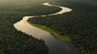 Why Protecting the Congo Basin Matters | Bezos Earth Fund