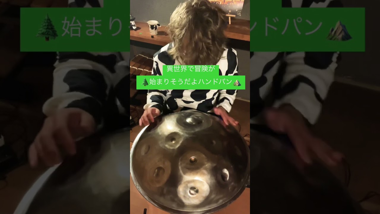 異世界で冒険が🌲始まりそうだよハンドパン⛰