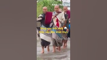 16/7 mưa to buổi sáng các thầy vẫn khất thực