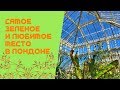 Достопримечательности Лондона / Ботанический сад Кью
