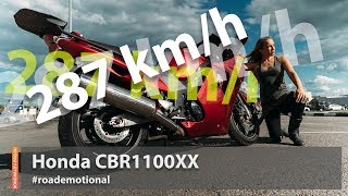 Honda CBR1100XX (Тест от Ксю) - рубрика 