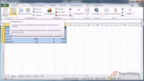 Запись макроса в Microsoft Office Excel 2010 (27/50)