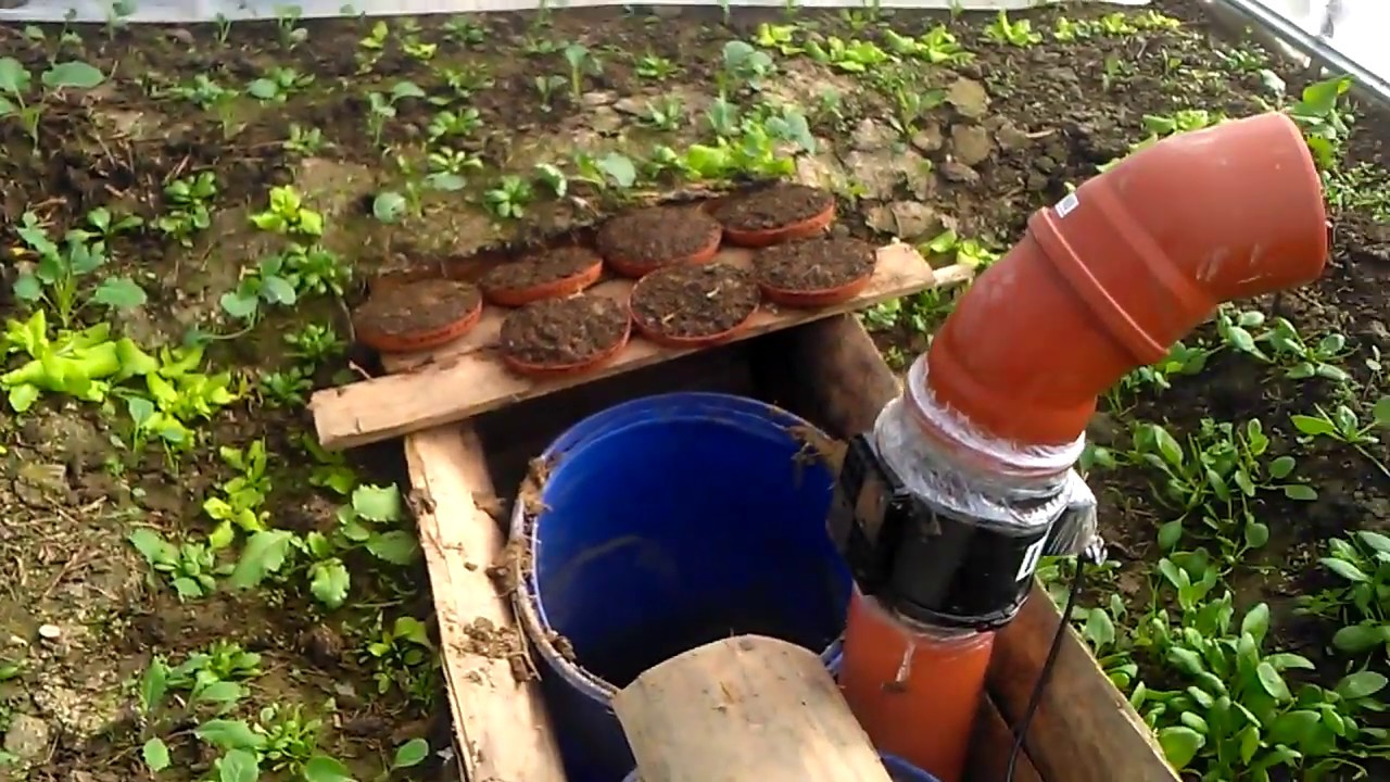 Geothermal Greenhouse full of greens right now! YouTube