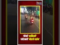 गोंयचें ‘हालिल्लें’ पर्यटनाचें ‘मोरजे दर्शन’